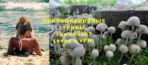 ешки Белокуриха