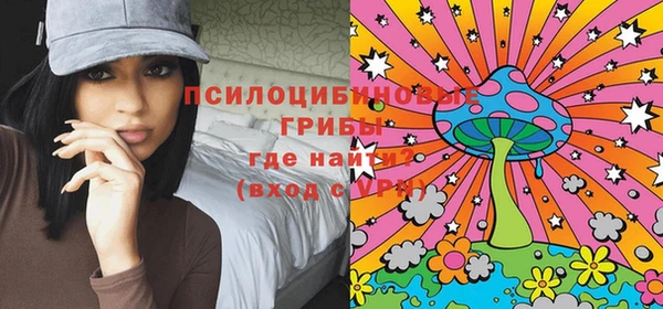 ешки Белокуриха