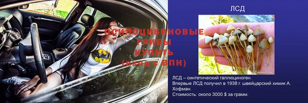 apvp Богданович