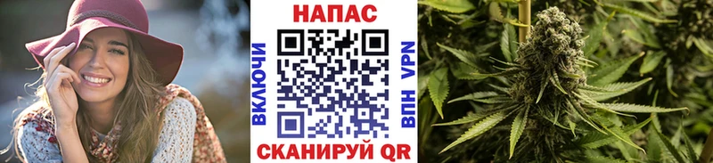 Конопля OG Kush Разумное